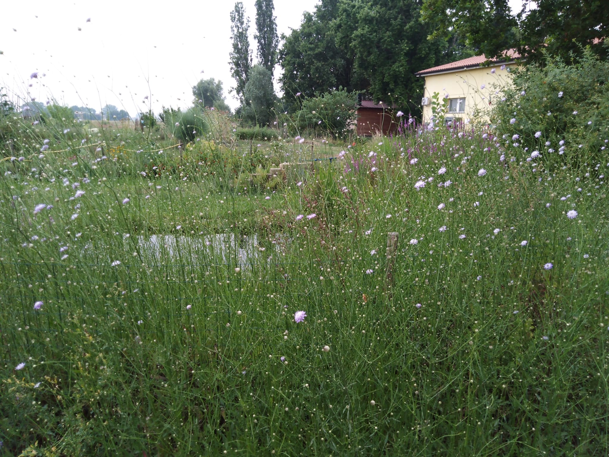 azienda2